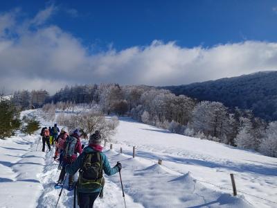 Raquetas de nieve en Navarra